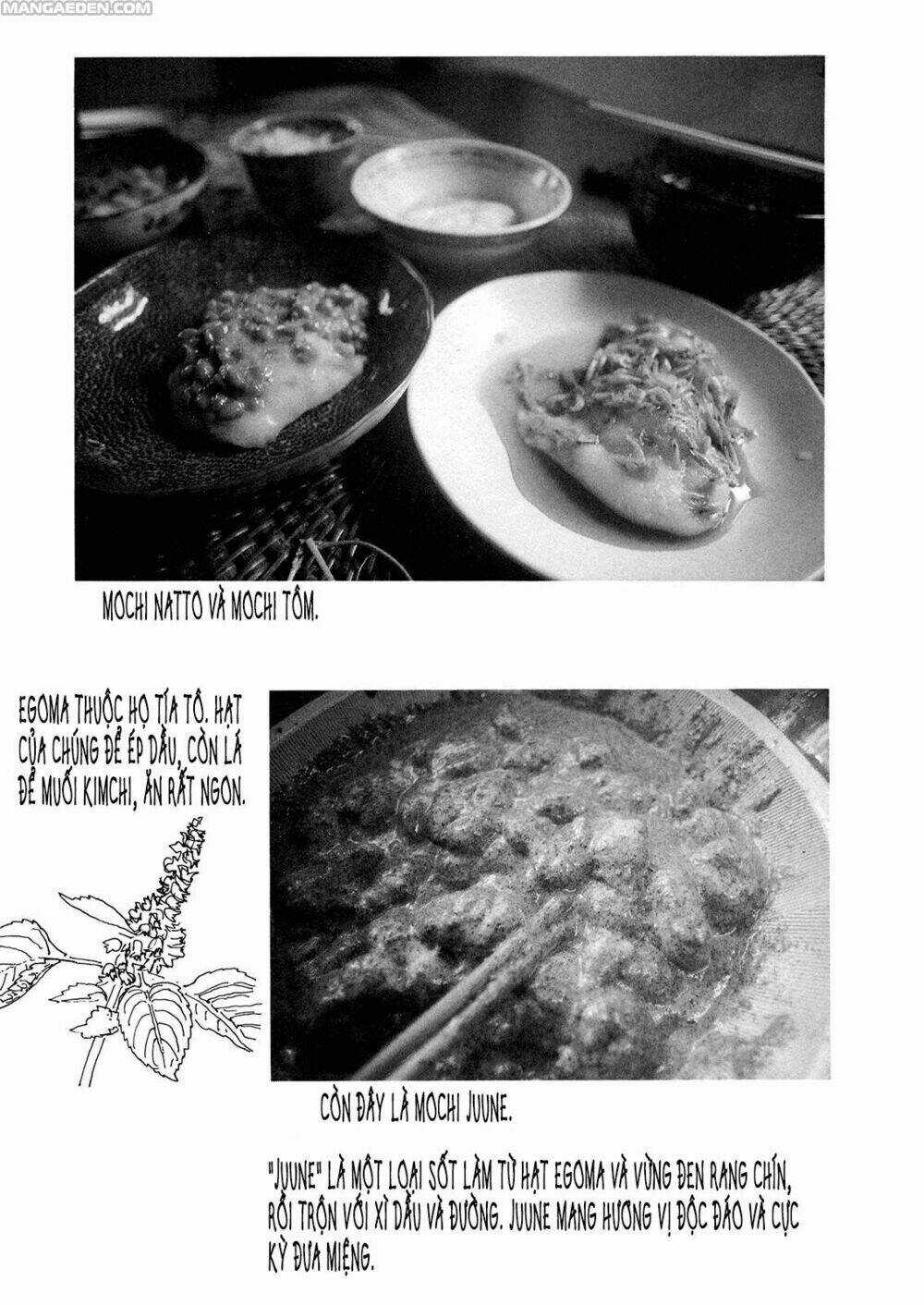 Little Forest - Chapter 16 - Trang 8