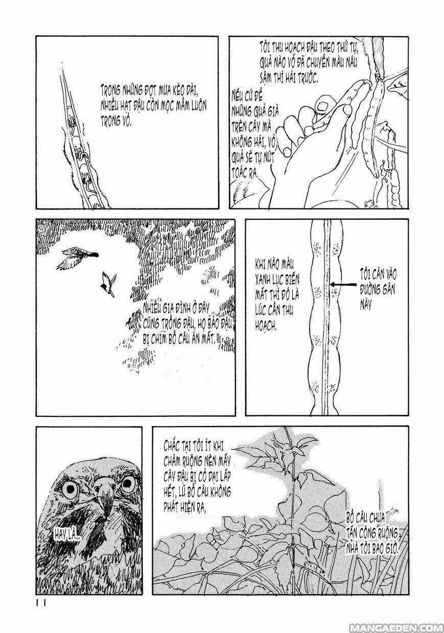 Little Forest - Chapter 18 - Trang 5