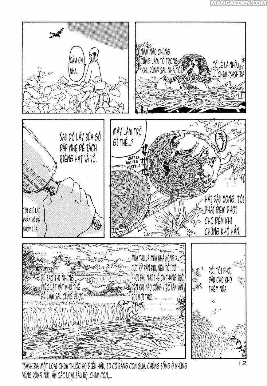 Little Forest - Chapter 18 - Trang 6