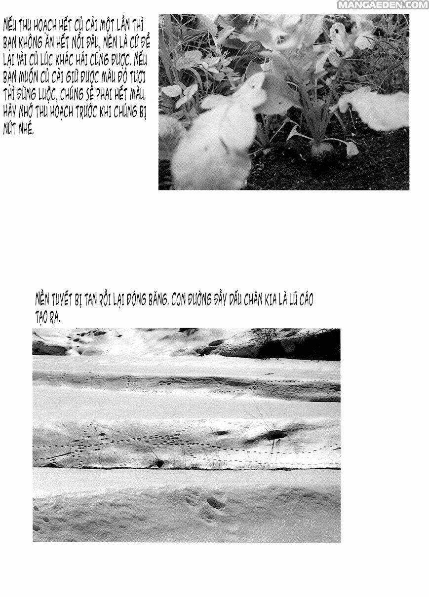 Little Forest - Chapter 19 - Trang 9