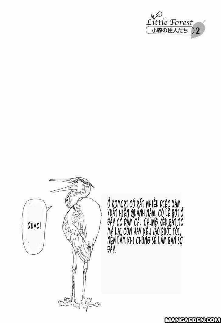 Little Forest - Chapter 2 - Trang 13