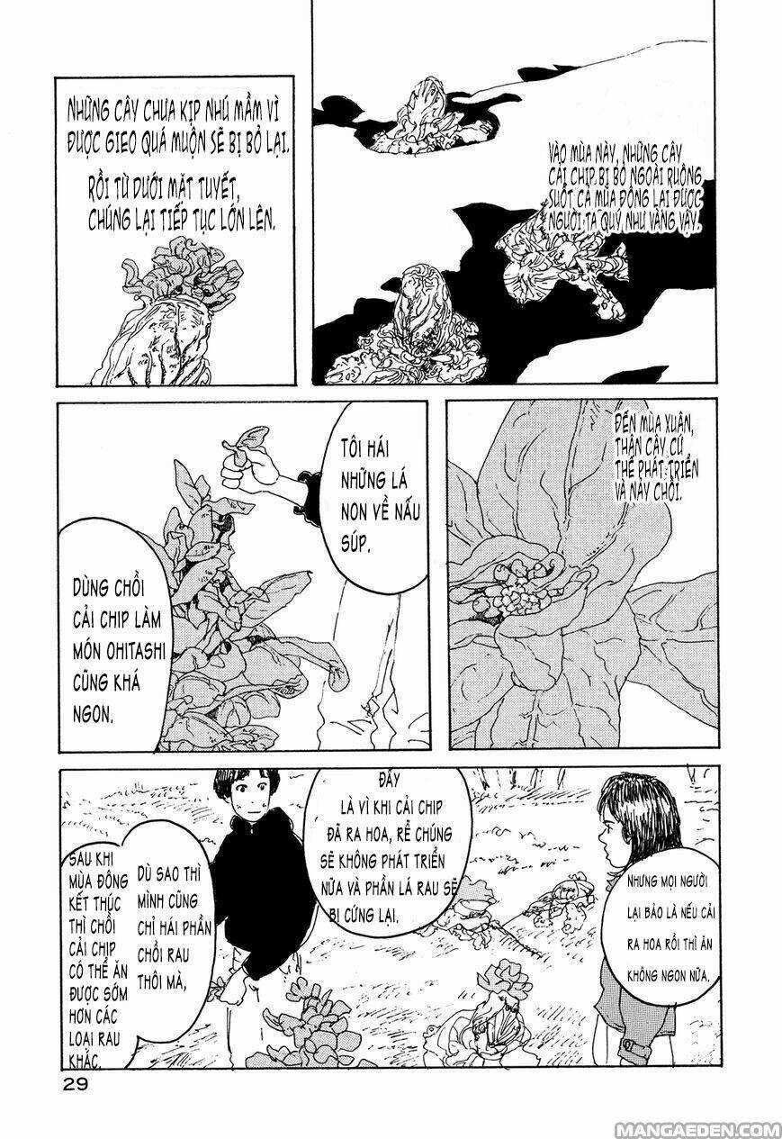 Little Forest - Chapter 20 - Trang 3