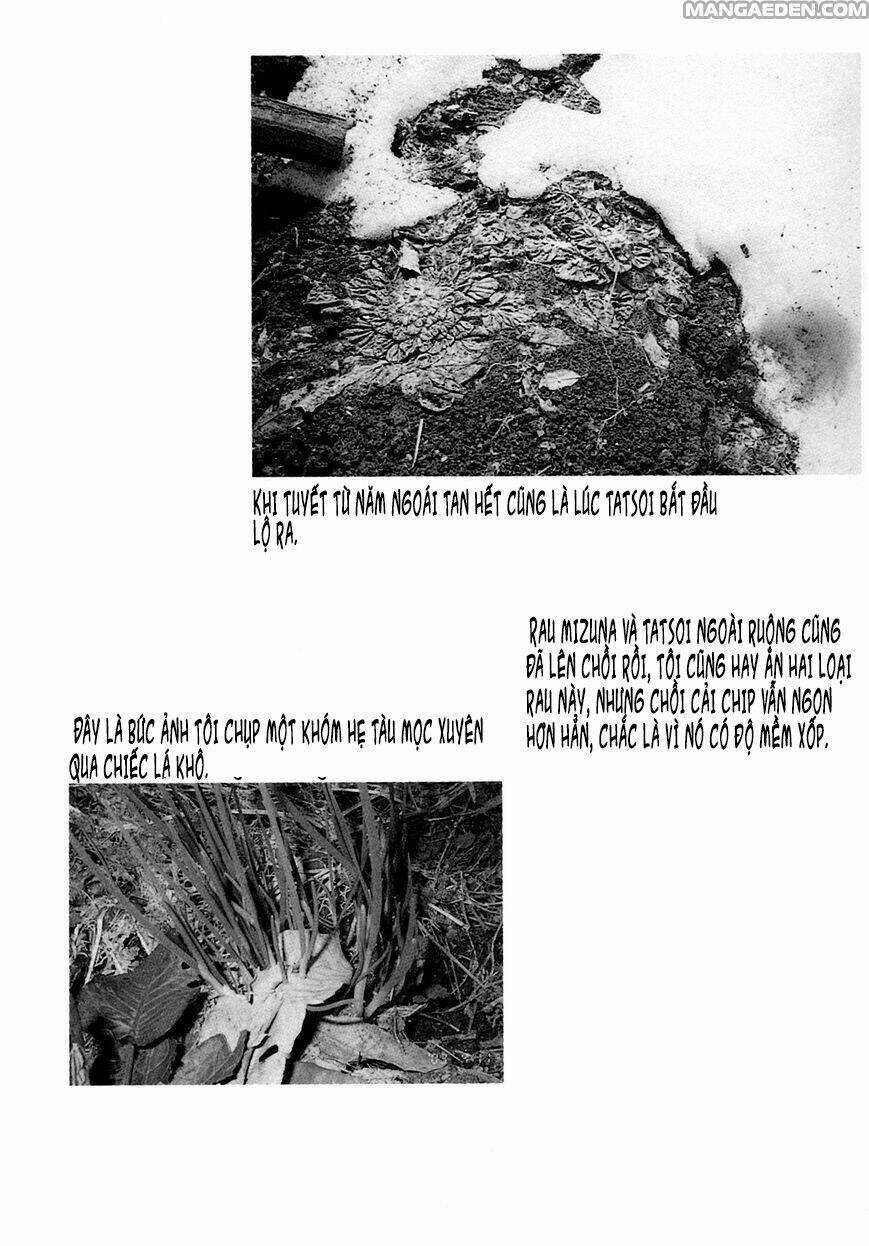 Little Forest - Chapter 20 - Trang 9