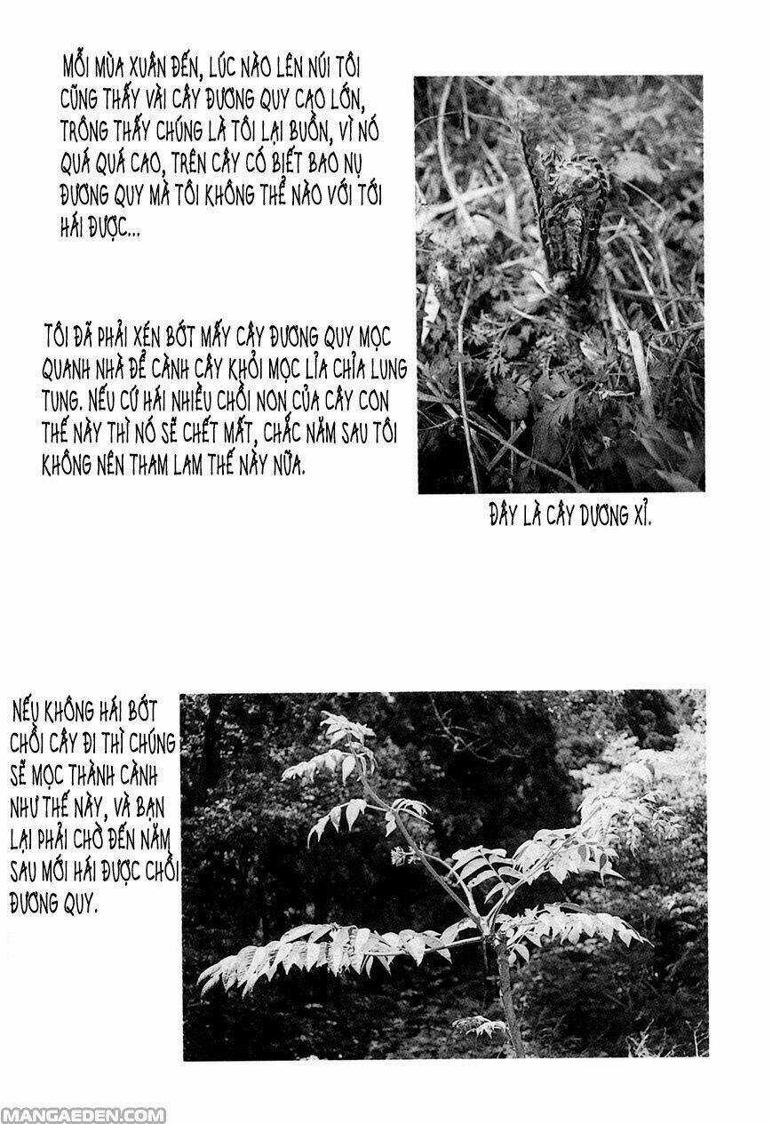 Little Forest - Chapter 21 - Trang 8