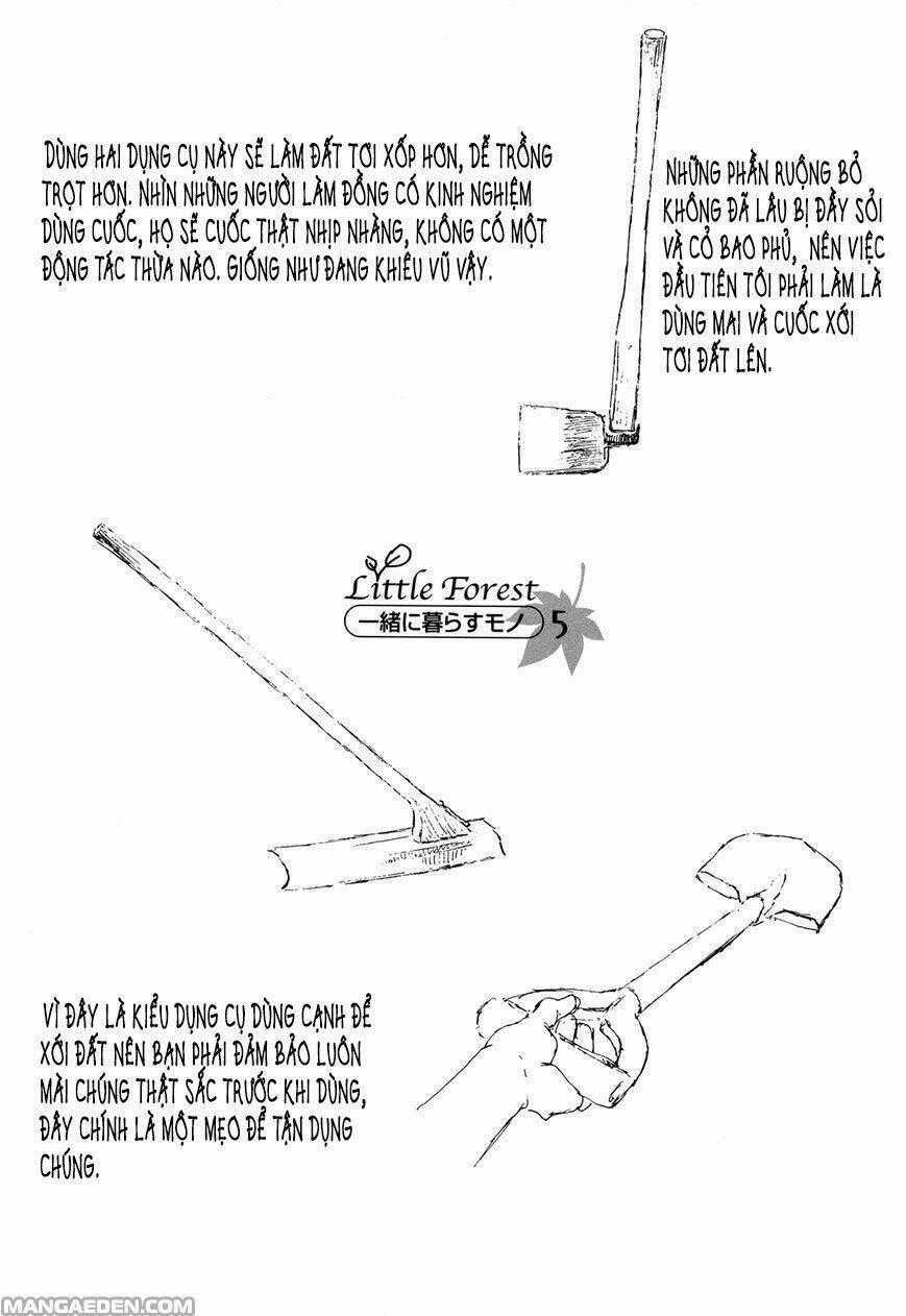 Little Forest - Chapter 21 - Trang 9