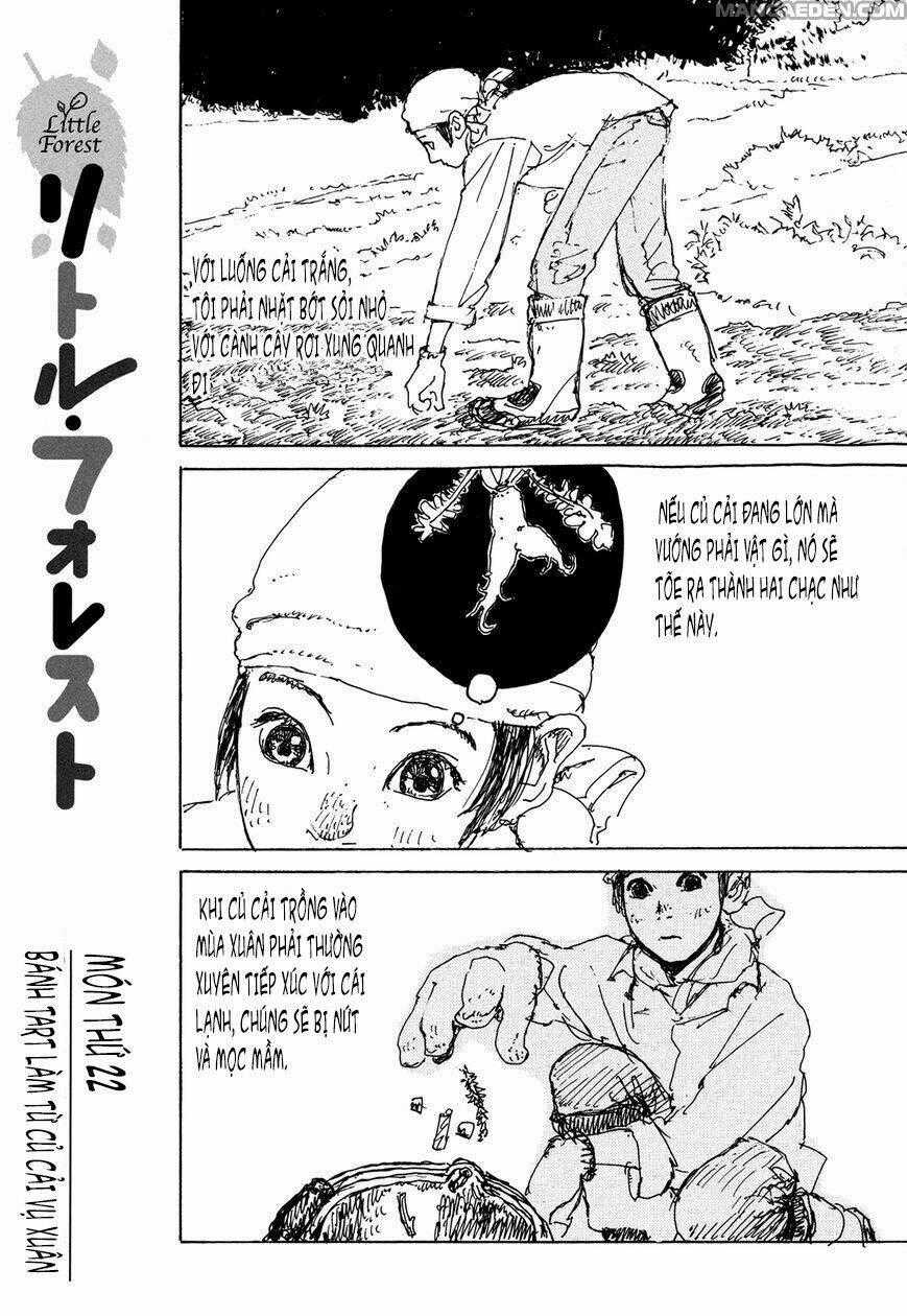 Little Forest - Chapter 22 - Trang 1