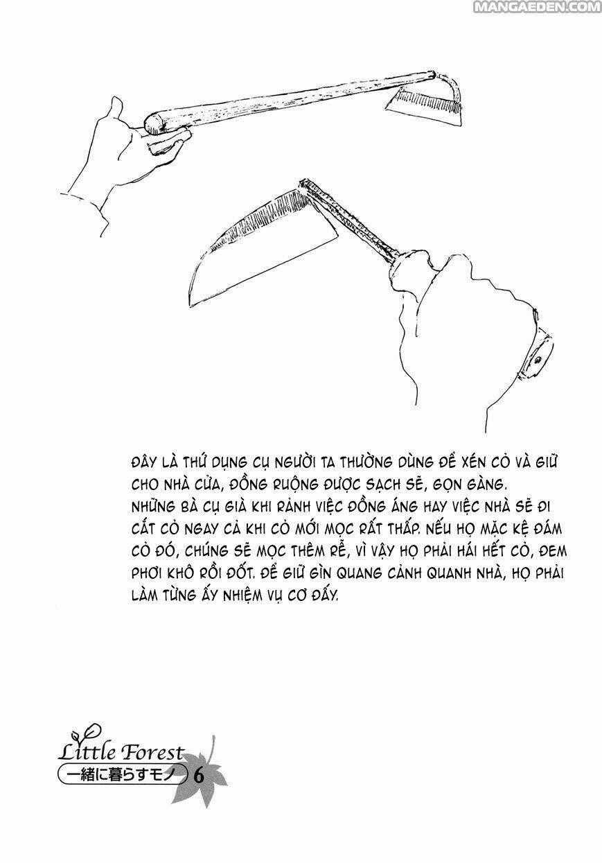 Little Forest - Chapter 22 - Trang 10