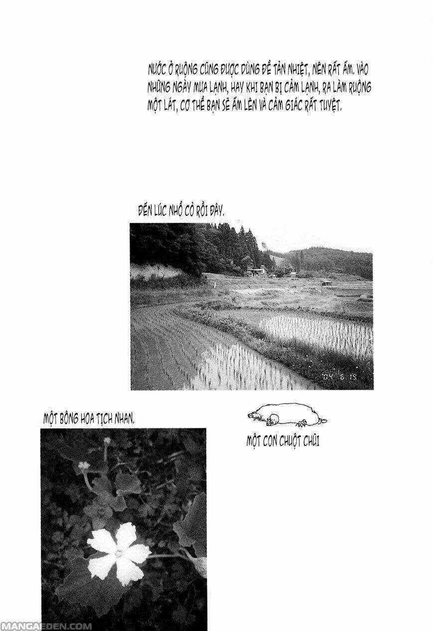 Little Forest - Chapter 23 - Trang 9