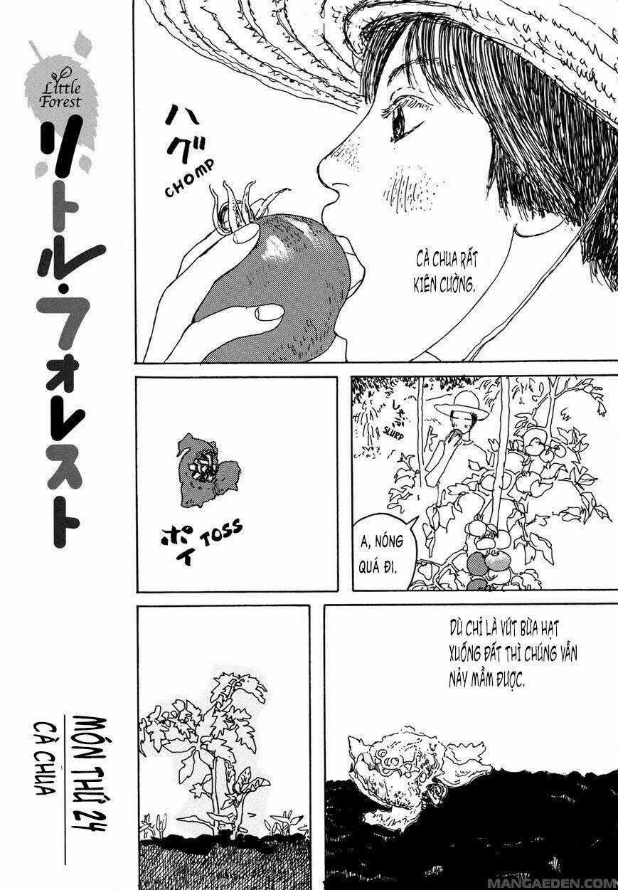 Little Forest - Chapter 24 - Trang 1