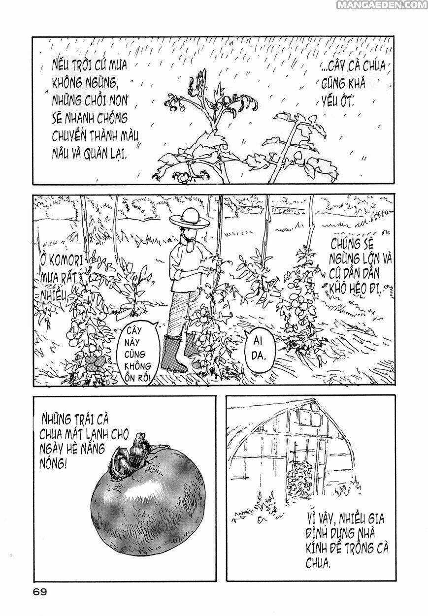 Little Forest - Chapter 24 - Trang 3