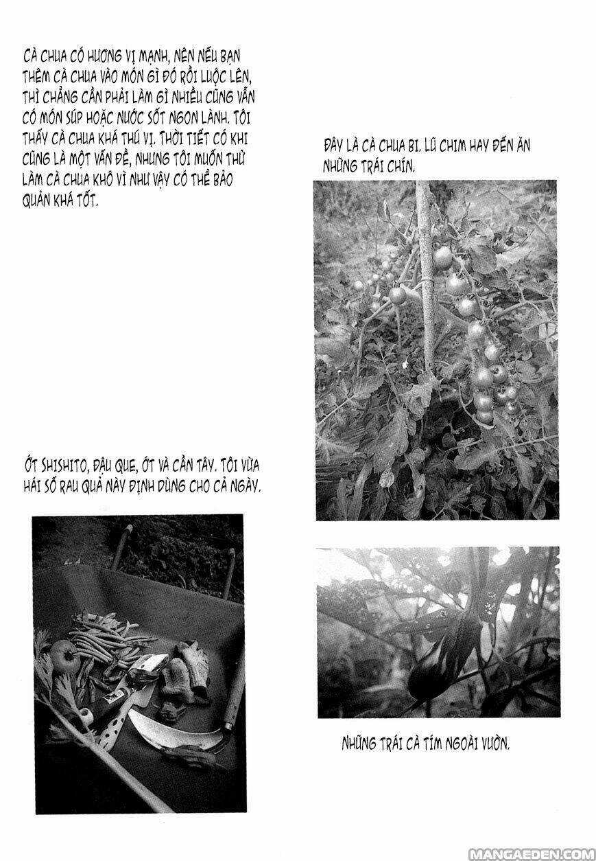 Little Forest - Chapter 24 - Trang 9