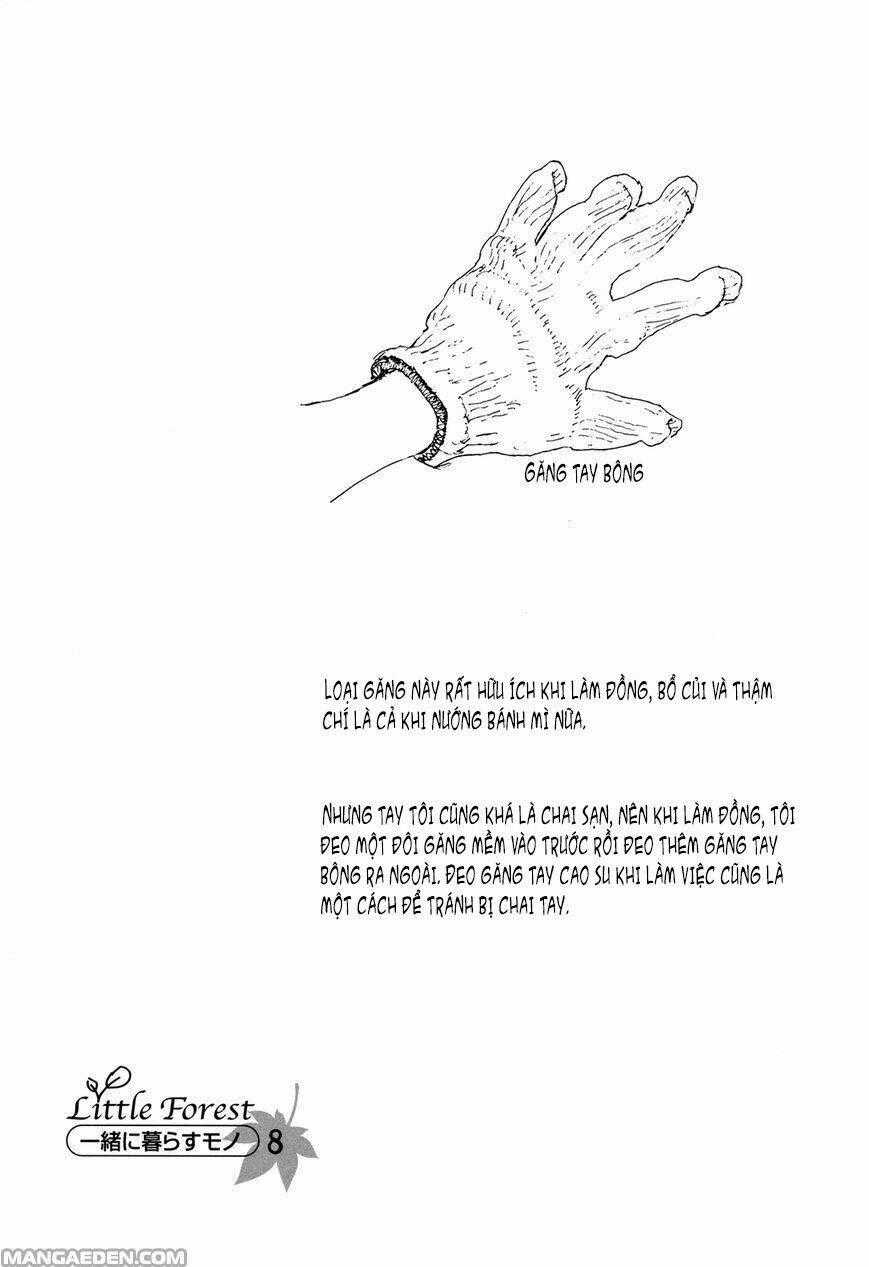 Little Forest - Chapter 24 - Trang 10