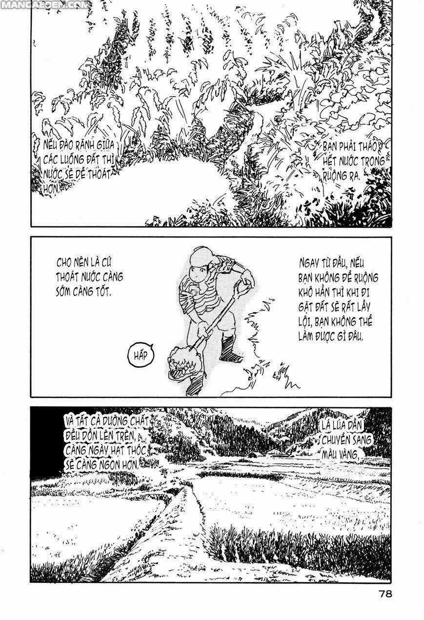 Little Forest - Chapter 25 - Trang 2