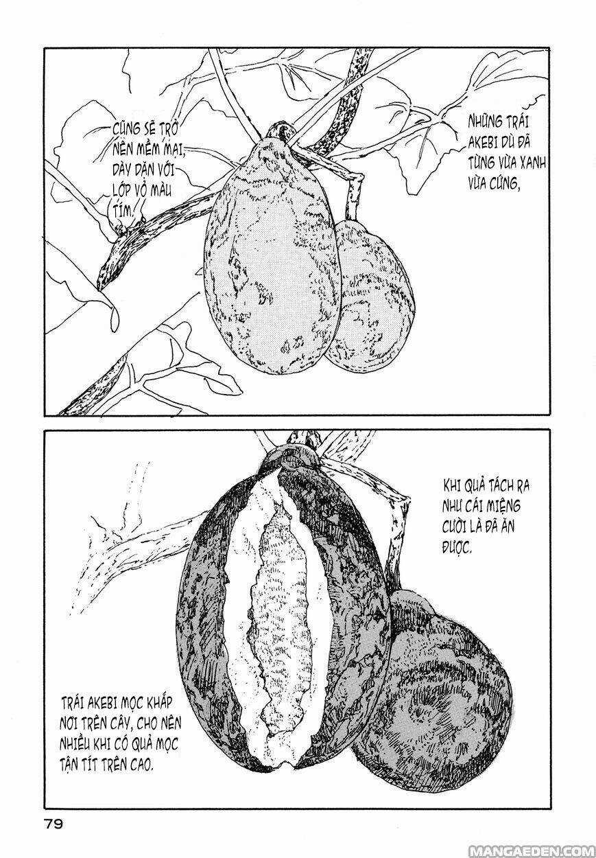 Little Forest - Chapter 25 - Trang 3