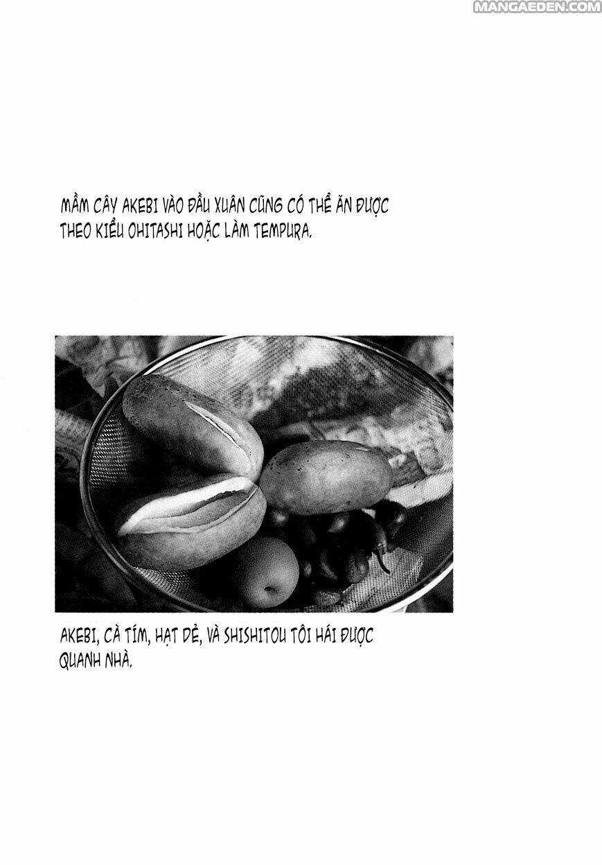 Little Forest - Chapter 25 - Trang 9