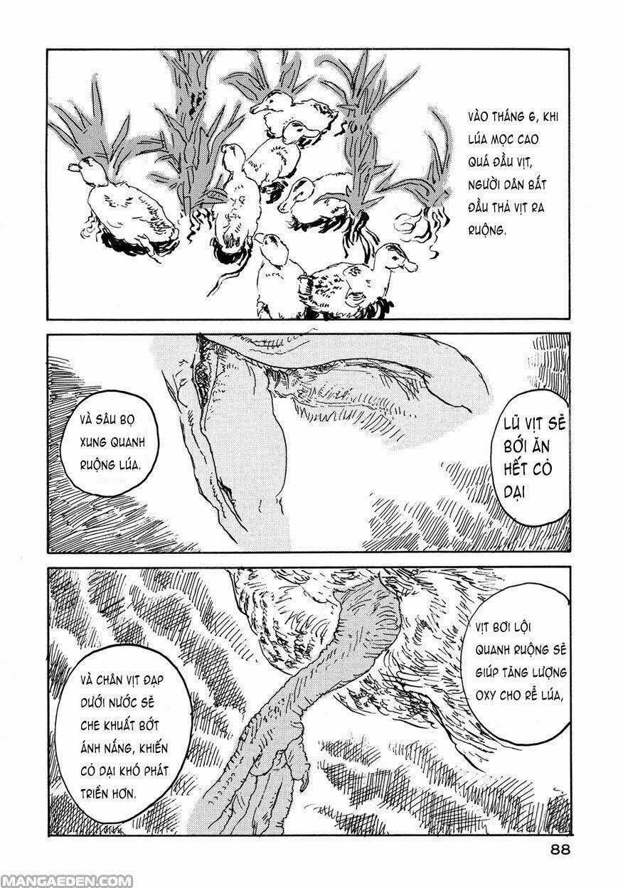 Little Forest - Chapter 26 - Trang 2