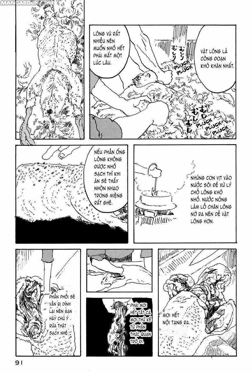 Little Forest - Chapter 26 - Trang 5