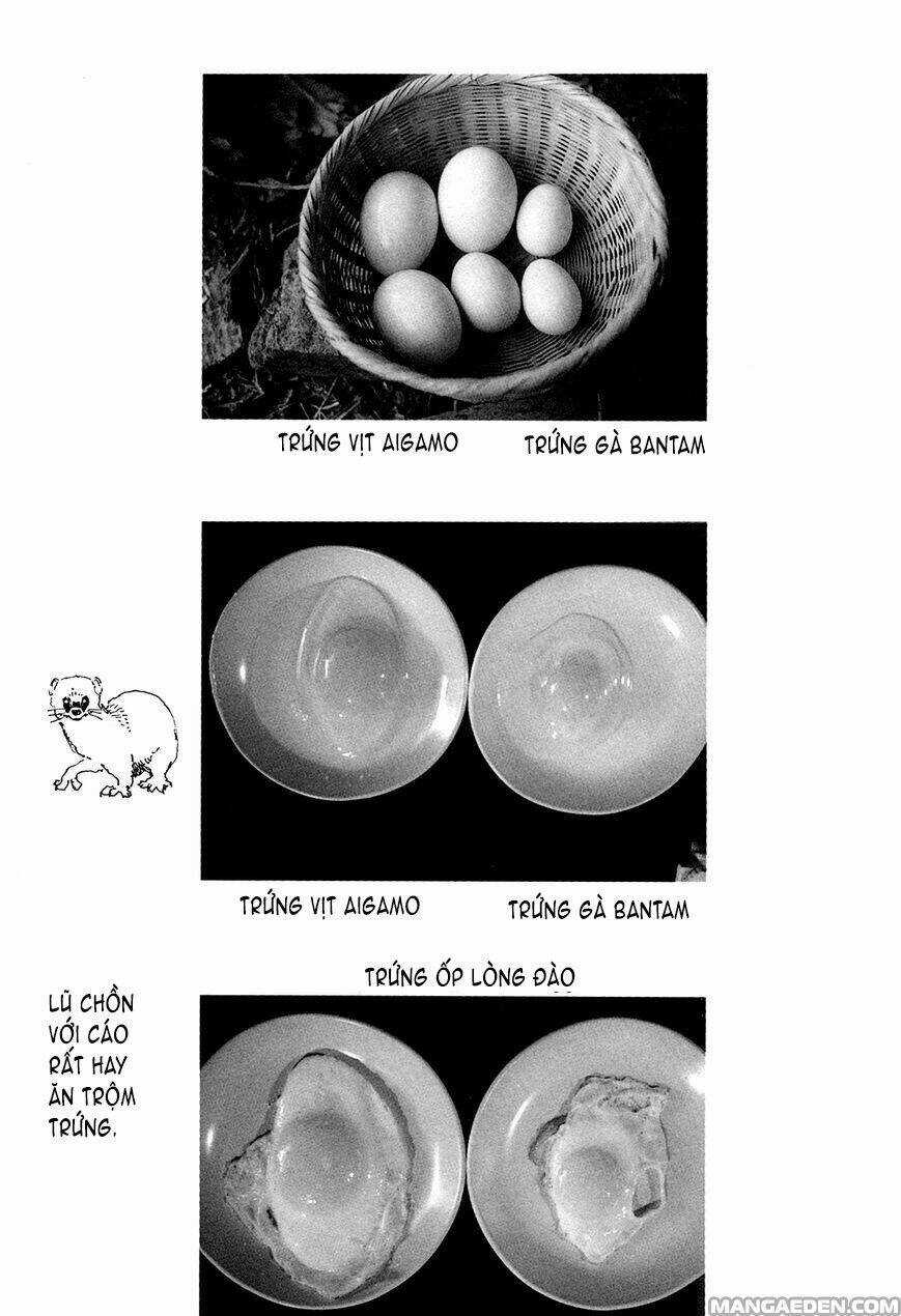 Little Forest - Chapter 26 - Trang 9
