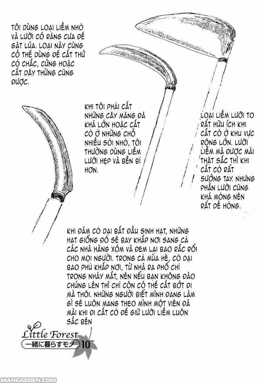 Little Forest - Chapter 26 - Trang 10