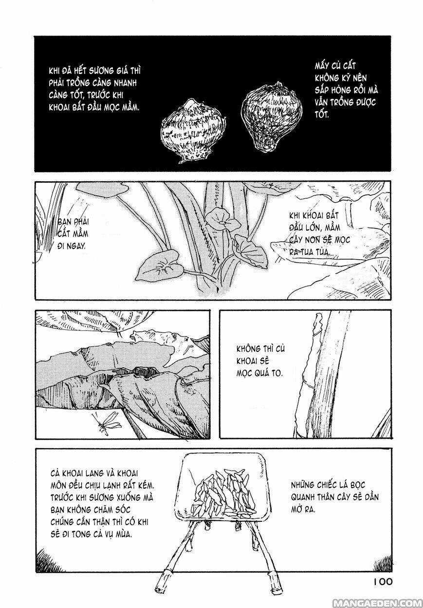 Little Forest - Chapter 27 - Trang 4