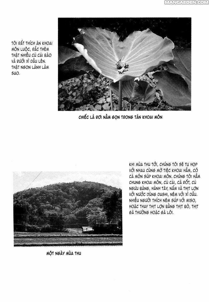 Little Forest - Chapter 27 - Trang 9