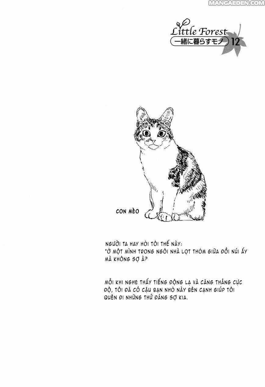 Little Forest - Chapter 28 - Trang 10