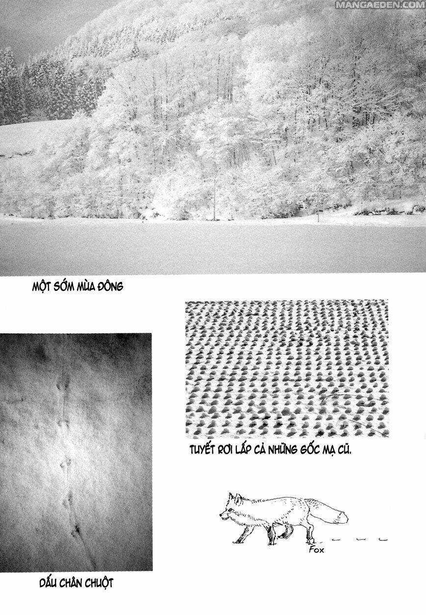 Little Forest - Chapter 29 - Trang 8