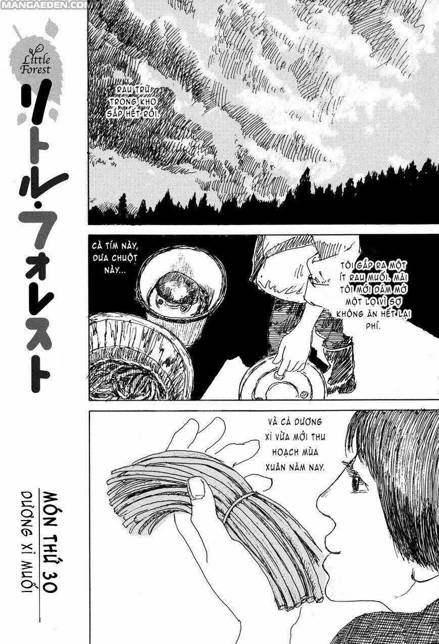 Little Forest - Chapter 30 - Trang 1