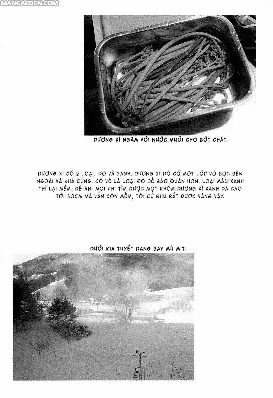 Little Forest - Chapter 30 - Trang 9