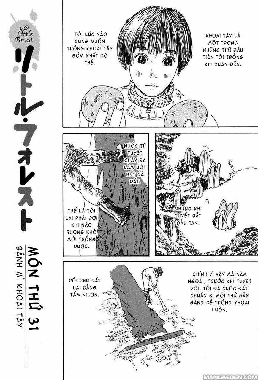Little Forest - Chapter 31 - Trang 1