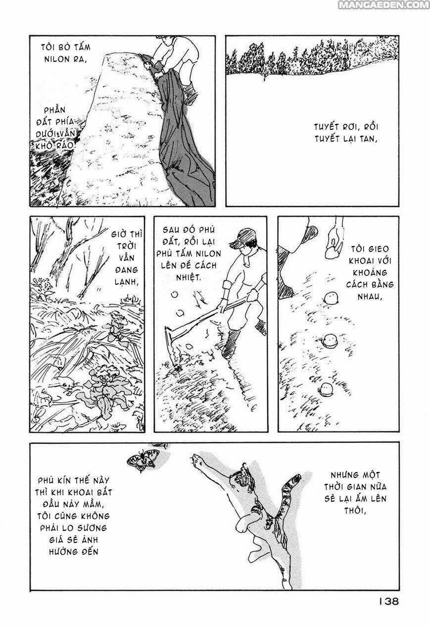 Little Forest - Chapter 31 - Trang 2