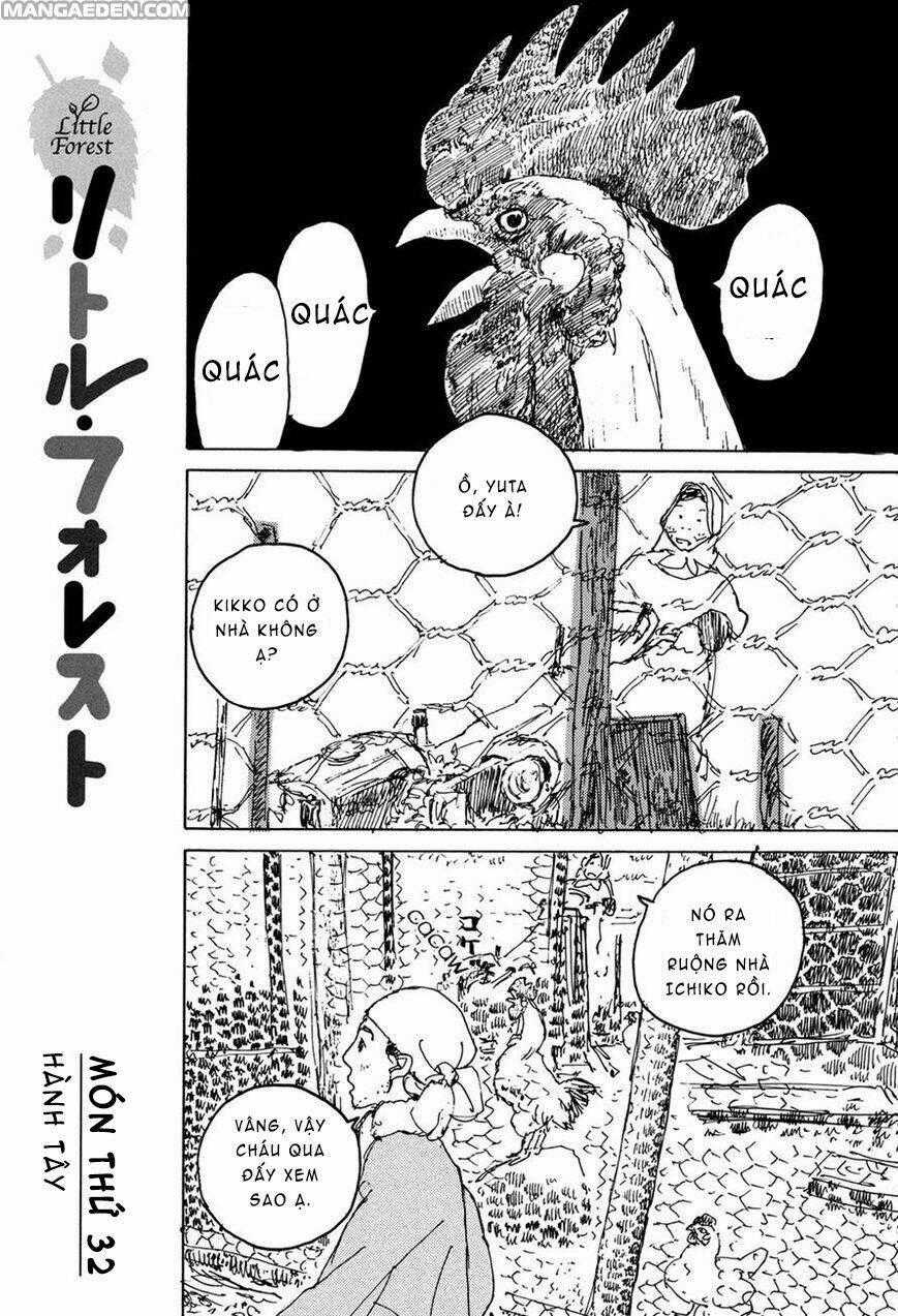 Little Forest - Chapter 32 - Trang 1