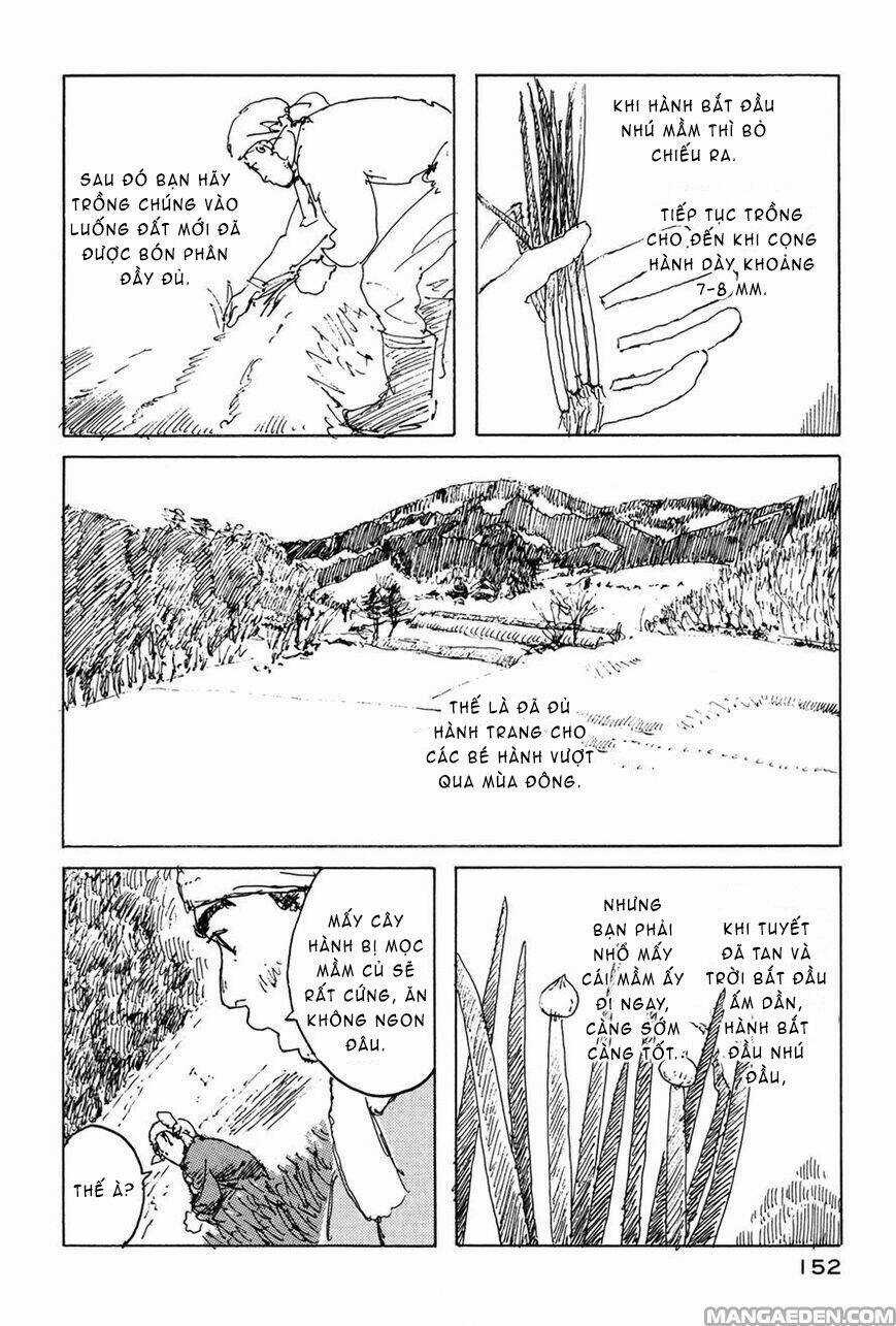 Little Forest - Chapter 32 - Trang 6