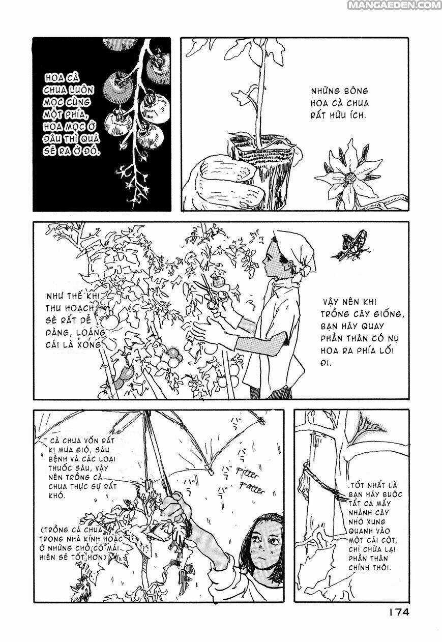 Little Forest - Chapter 33.5 - Trang 4