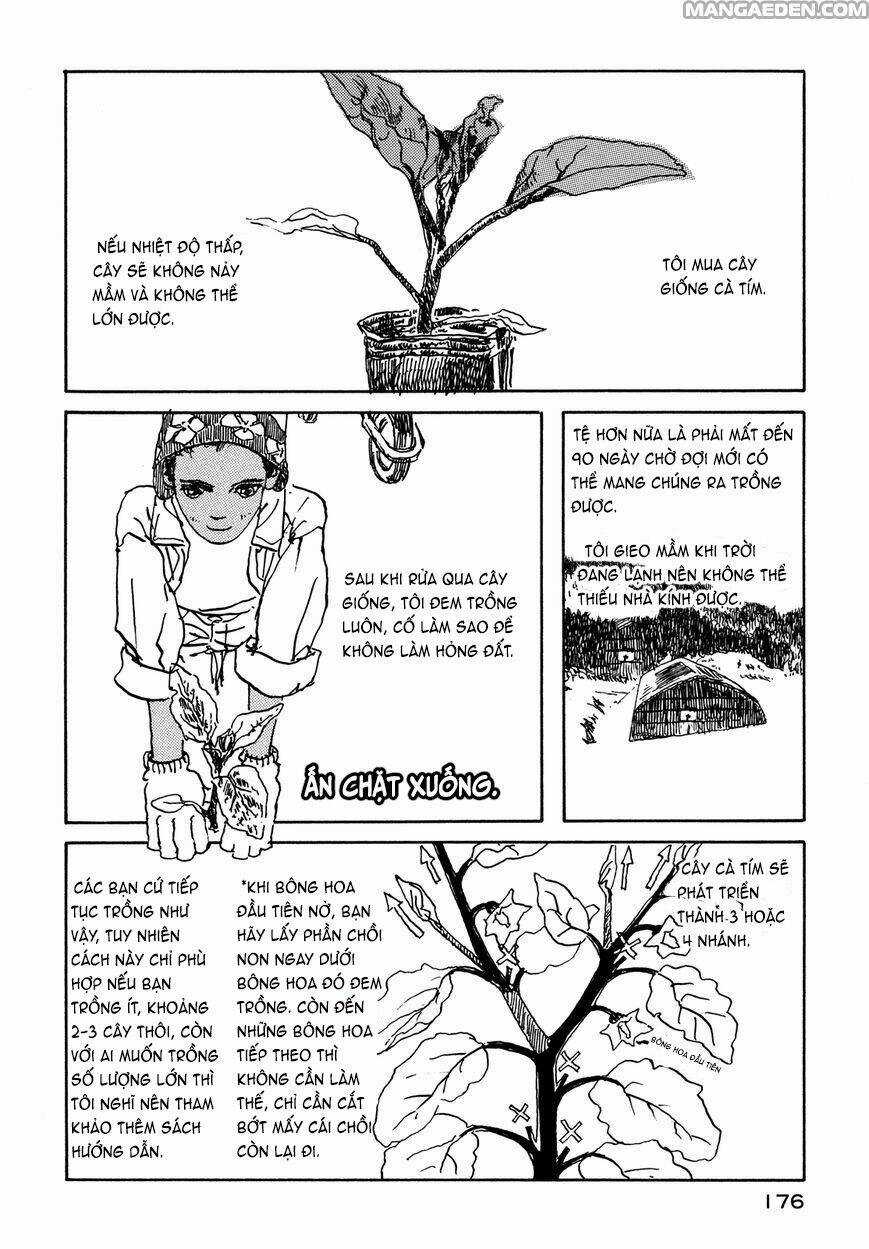 Little Forest - Chapter 33.5 - Trang 6