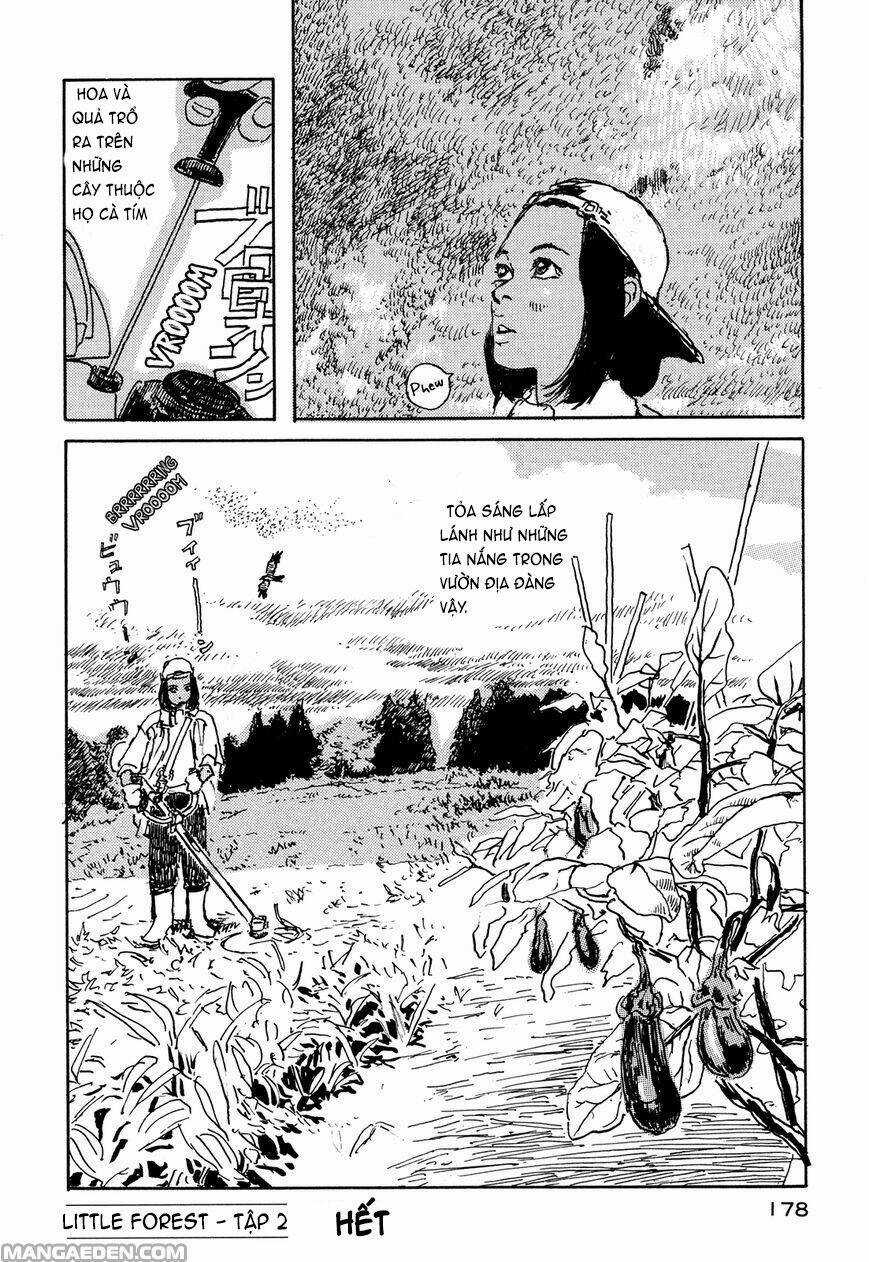 Little Forest - Chapter 33.5 - Trang 8