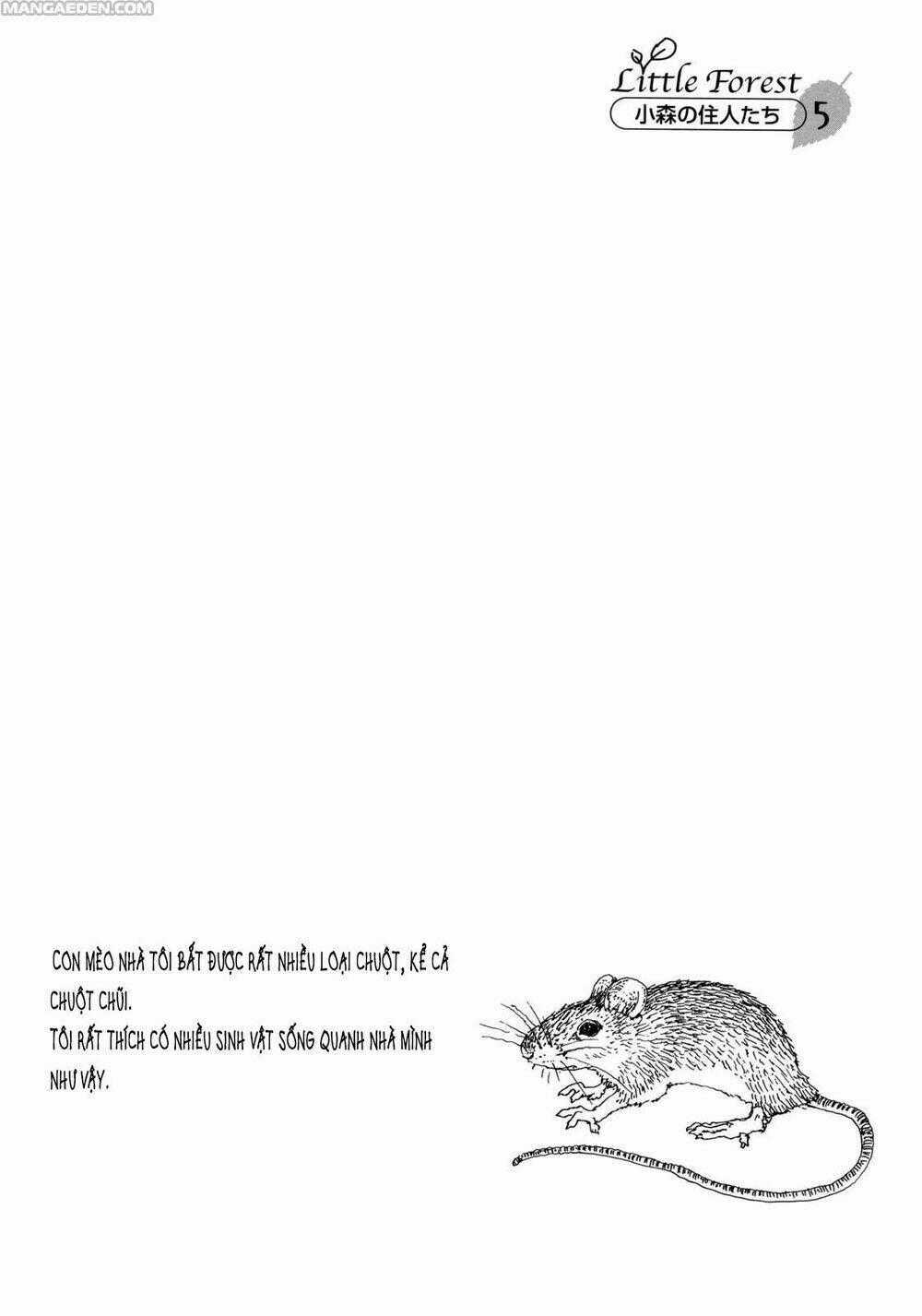 Little Forest - Chapter 5 - Trang 12