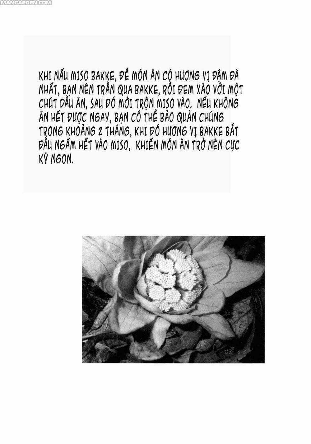 Little Forest - Chapter 6 - Trang 11