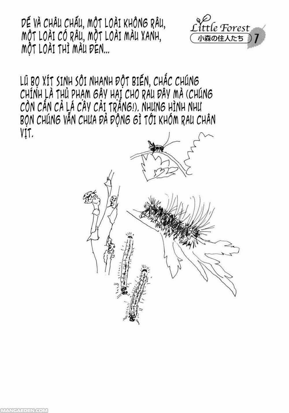 Little Forest - Chapter 7 - Trang 11