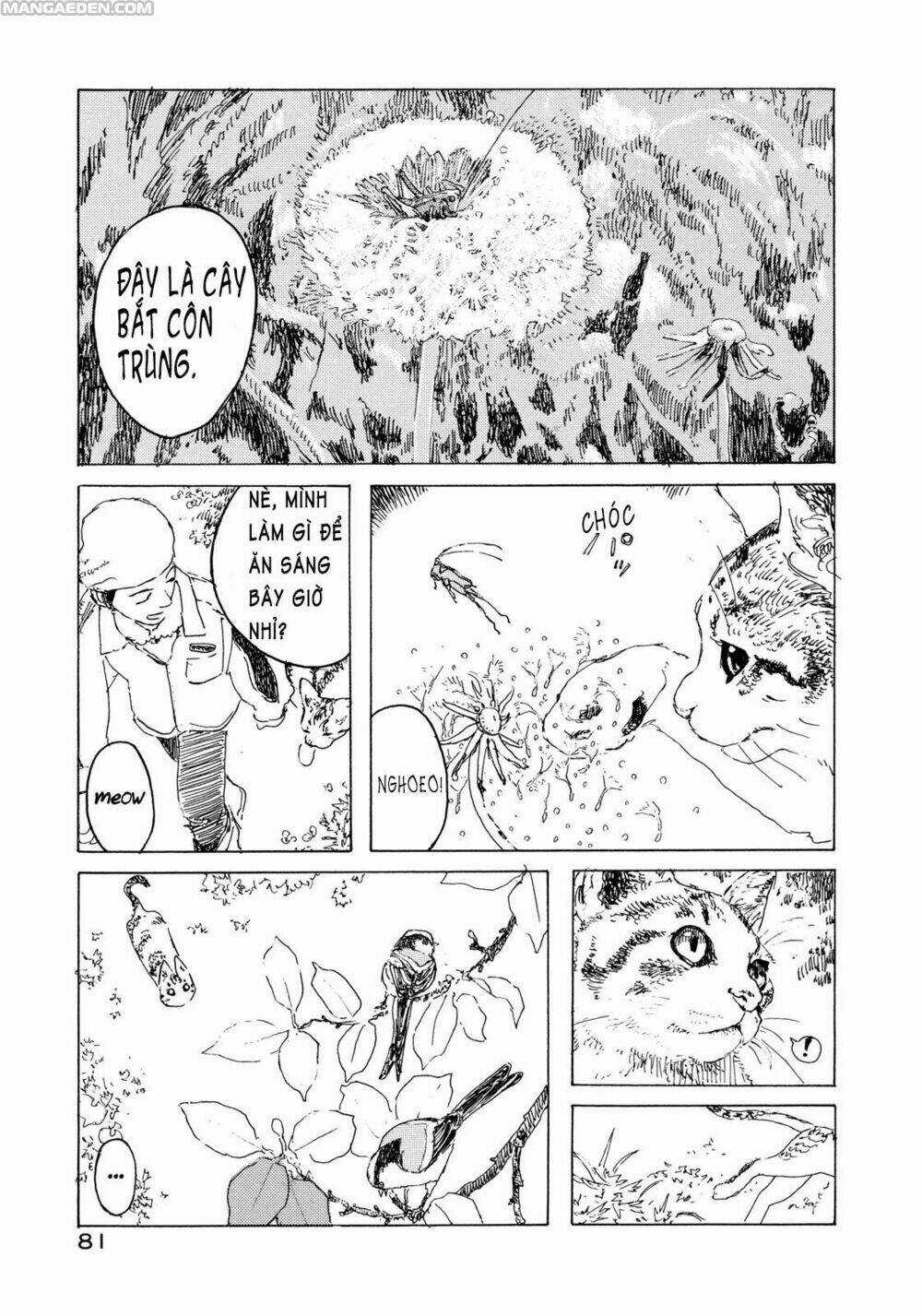 Little Forest - Chapter 8 - Trang 3