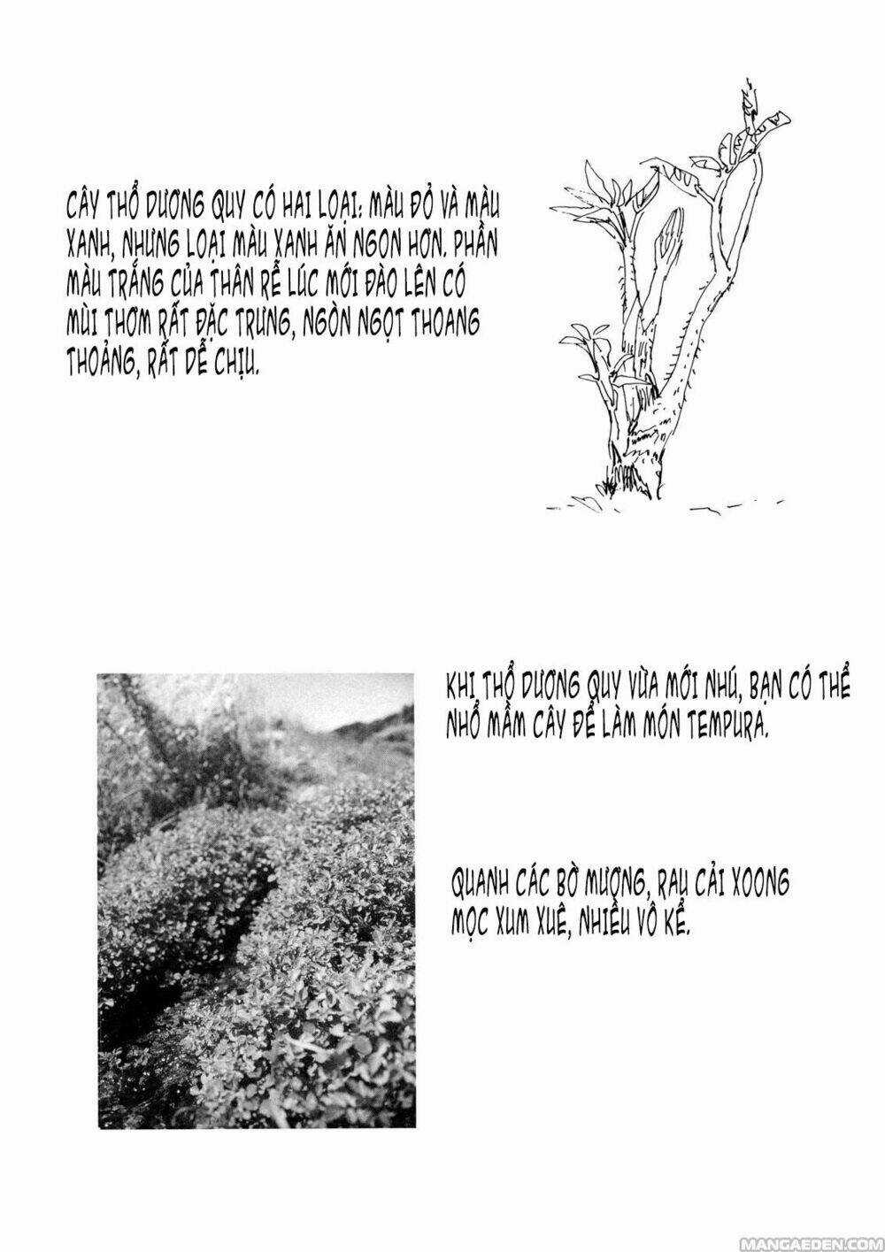 Little Forest - Chapter 8 - Trang 9