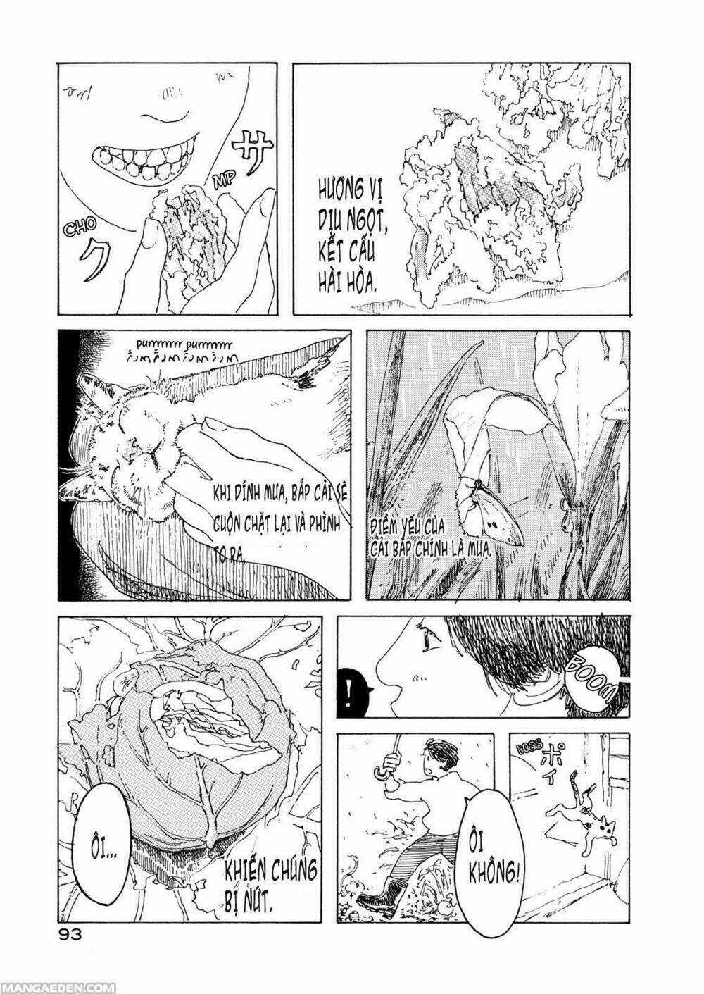 Little Forest - Chapter 9 - Trang 5