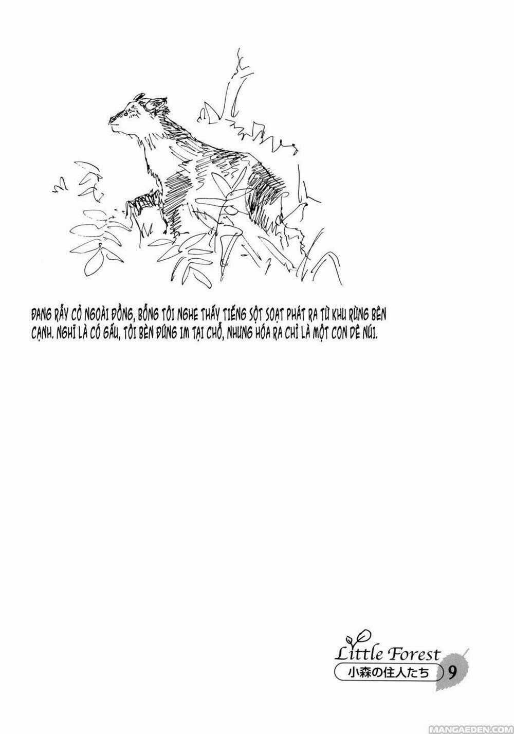 Little Forest - Chapter 9 - Trang 10