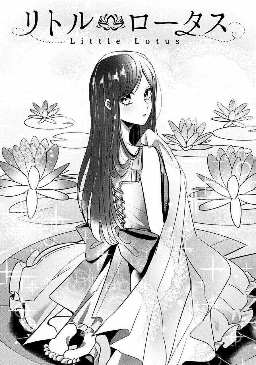 Little Lotus - Chapter 6 - Trang 4