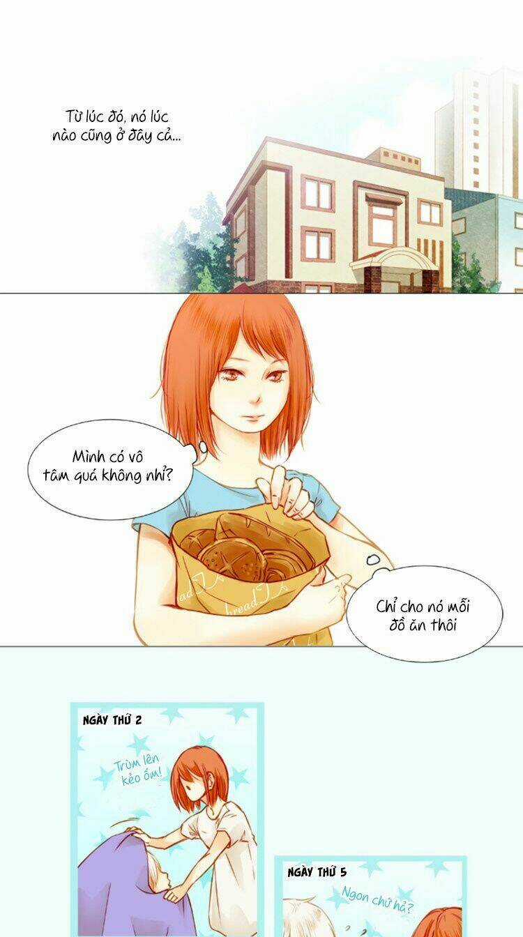 Little Rain - Chapter 1 - Trang 11