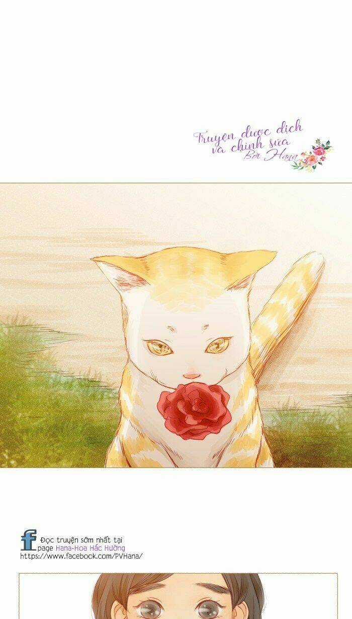 Little Rain - Chapter 10 - Trang 49