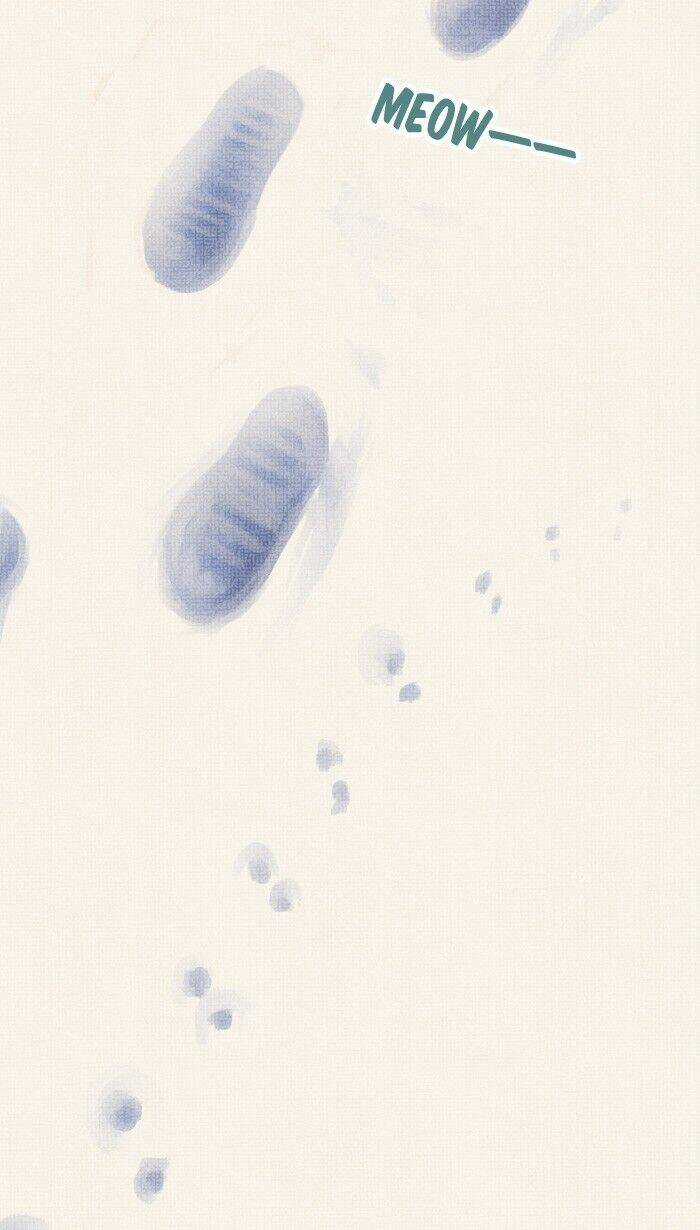 Little Rain - Chapter 12.5 - Trang 40