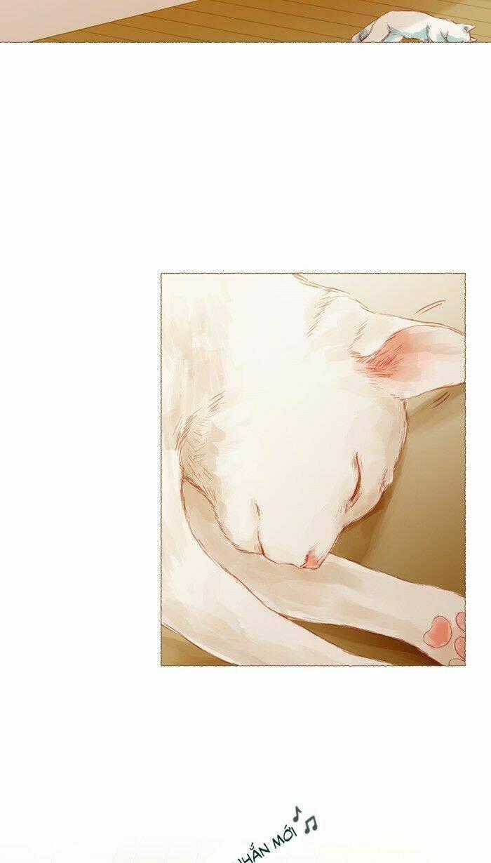 Little Rain - Chapter 13 - Trang 2