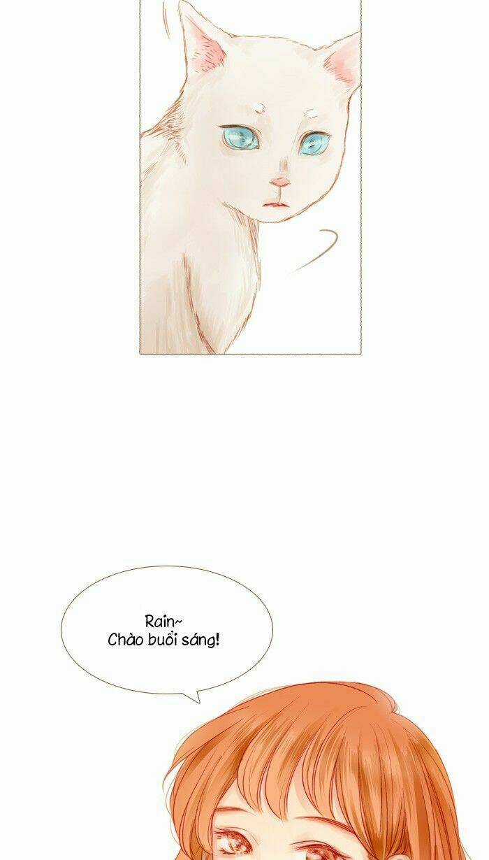 Little Rain - Chapter 13 - Trang 6