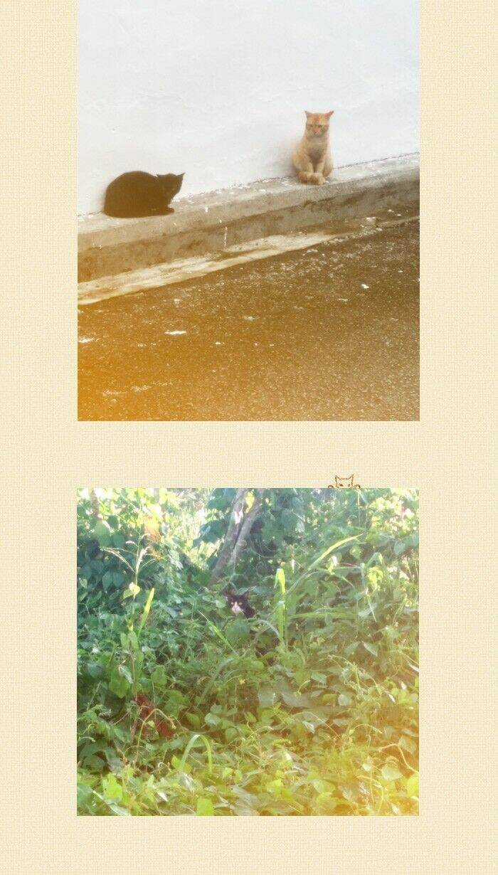 Little Rain - Chapter 14.5 - Trang 24